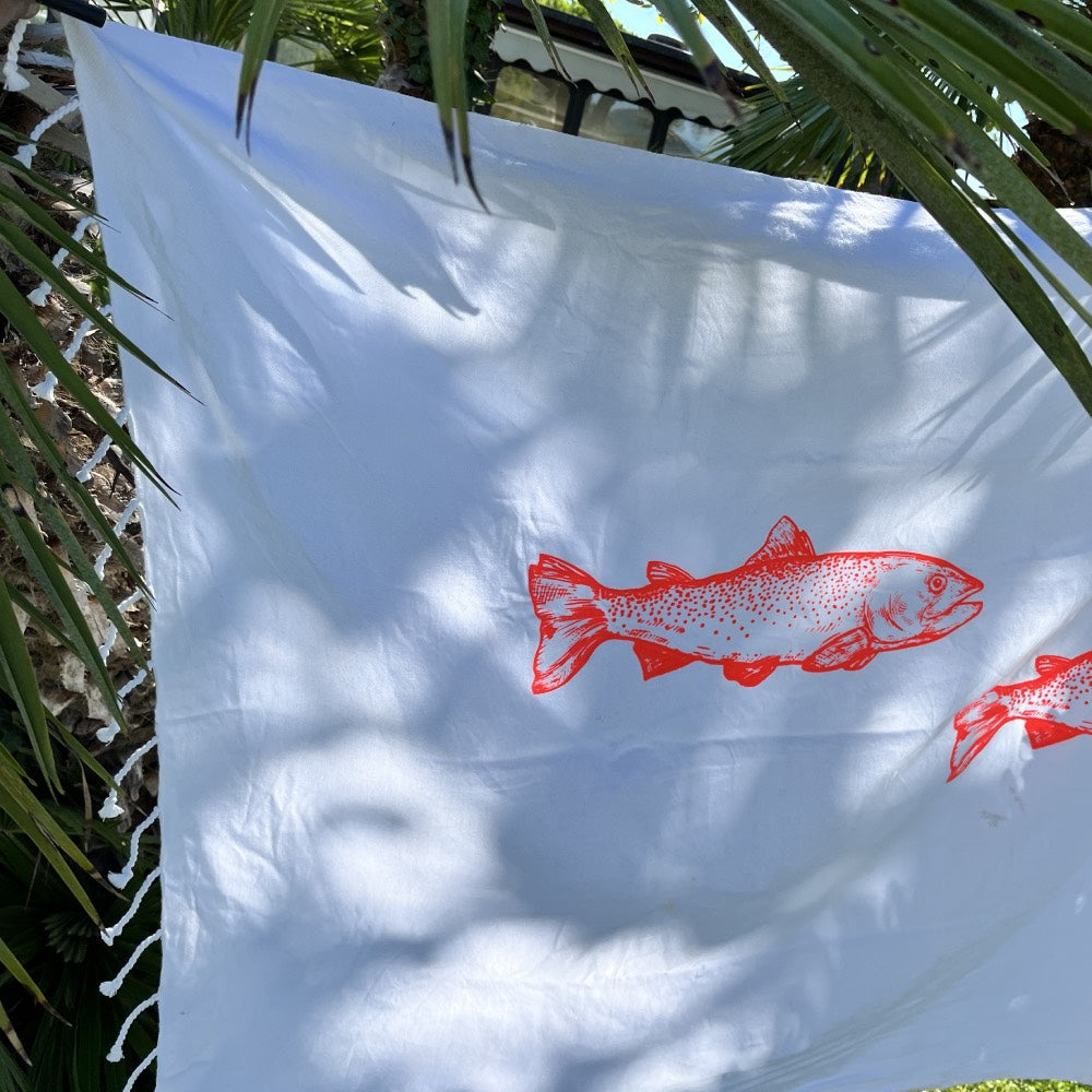 Hamamista x LOCOMOTO Design – Special Summer Edition 