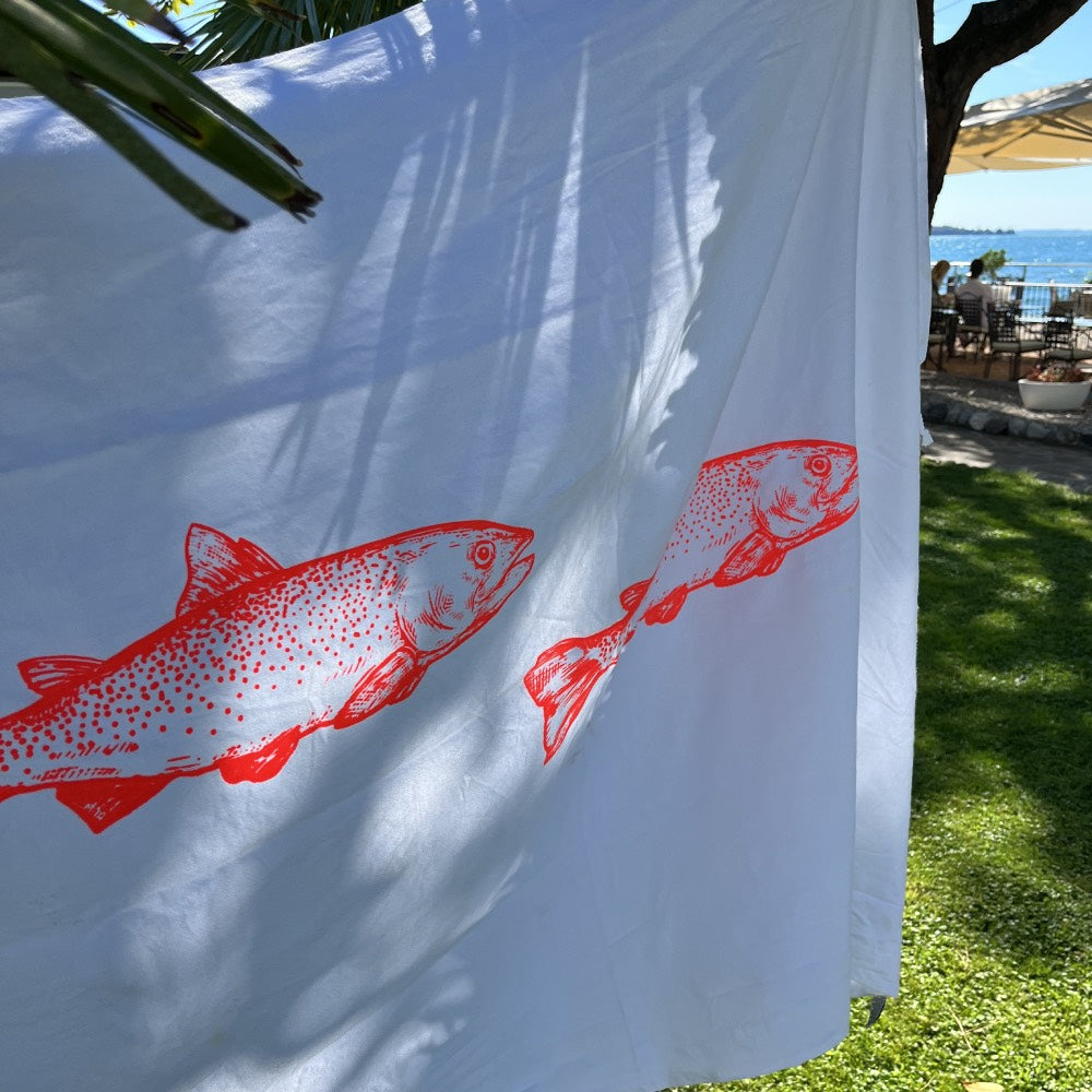 Hamamista x LOCOMOTO Design – Special Summer Edition 